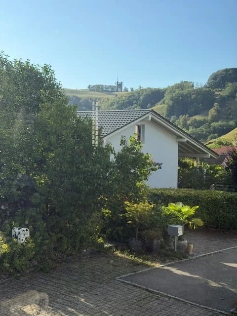Immobilie in Wisen So - Charmantes 4.5-Zimmer-Einfamilienhaus in Wisen SO â€“ Sofort verfÃ¼gbar! - Bild 49