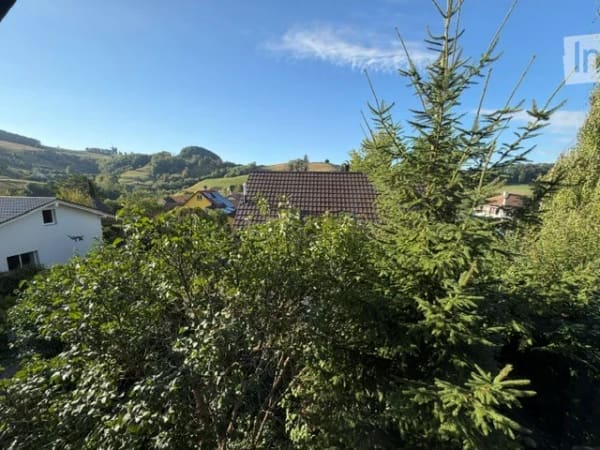 Immobilie in Wisen So - Charmantes 4.5-Zimmer-Einfamilienhaus in Wisen SO â€“ Sofort verfÃ¼gbar! - Bild 50
