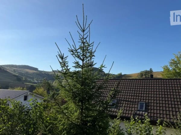 Immobilie in Wisen So - Charmantes 4.5-Zimmer-Einfamilienhaus in Wisen SO â€“ Sofort verfÃ¼gbar! - Bild 51