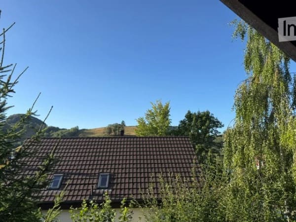 Immobilie in Wisen So - Charmantes 4.5-Zimmer-Einfamilienhaus in Wisen SO â€“ Sofort verfÃ¼gbar! - Bild 52