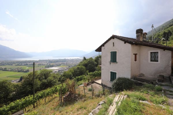 Immobilie in Riazzino - Haus inmitten von Rebbergen und schÃ¶ner Weitsicht - Bild 0