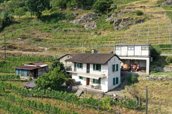 Immobilie in Riazzino - Haus inmitten von Rebbergen und schÃ¶ner Weitsicht - Bild 1