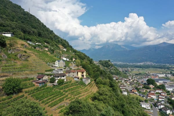 Immobilie in Riazzino - Haus inmitten von Rebbergen und schÃ¶ner Weitsicht - Bild 14