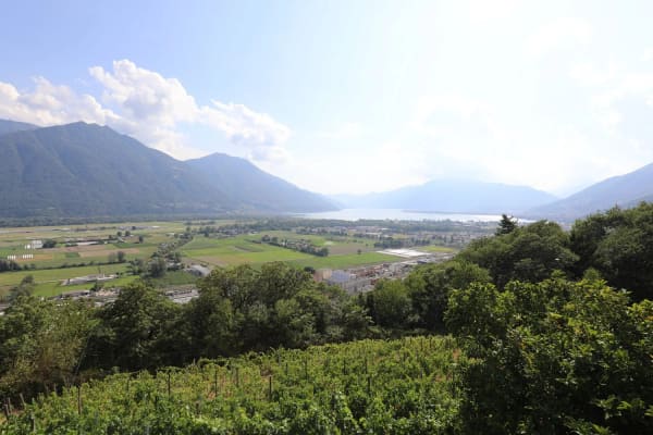 Immobilie in Riazzino - Haus inmitten von Rebbergen und schÃ¶ner Weitsicht - Bild 15