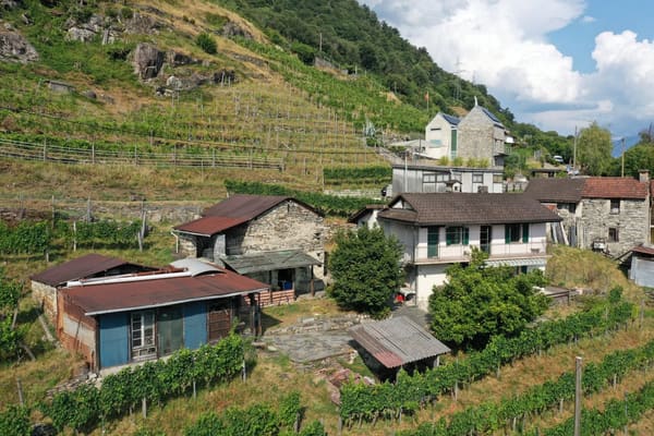 Immobilie in Riazzino - Haus inmitten von Rebbergen und schÃ¶ner Weitsicht - Bild 2