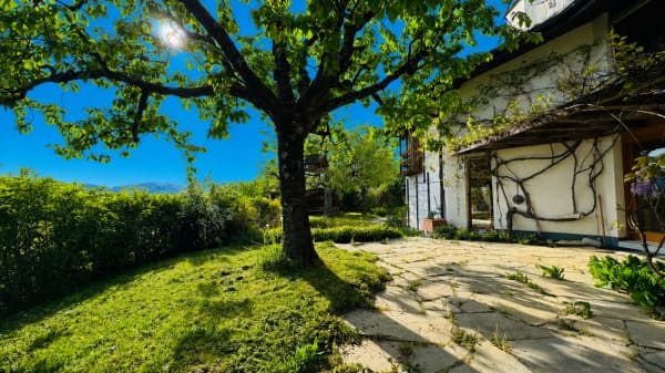Immobilie in Dornach - GrosszÃ¼giges EFH mit 2 Einliegerwohnungen, ParkplÃ¤tzen, Weitsicht & Garten in Toplage - Bild 0
