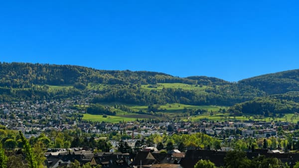 Immobilie in Dornach - GrosszÃ¼giges EFH mit 2 Einliegerwohnungen, ParkplÃ¤tzen, Weitsicht & Garten in Toplage - Bild 3