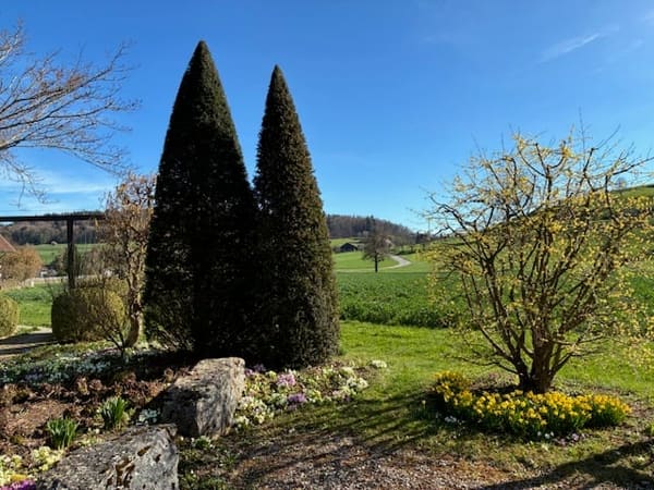 Immobilie in Seeberg - ***Vivere in campagna!***228 m2!***Stalderhof Seeberg  ***105 m2 Wohn/Esszimmer!*** - Bild 33