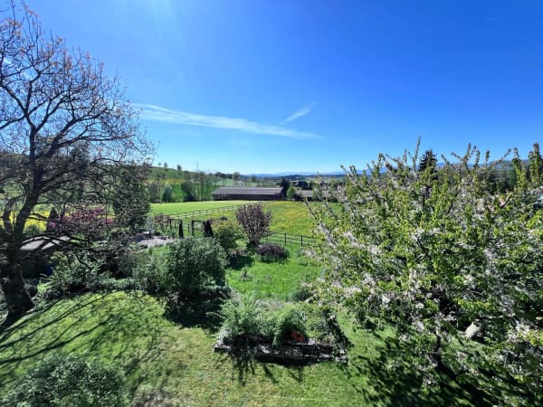 Immobilie in Seeberg - ***Vivere in campagna!***228 m2!***Stalderhof Seeberg  ***105 m2 Wohn/Esszimmer!*** - Bild 40