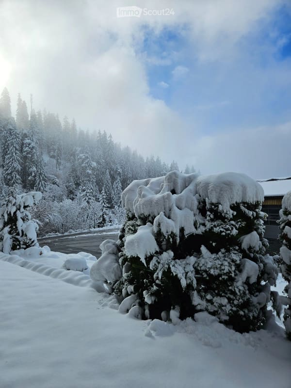 Immobilie in Laax Gr - Charmante 4.5-Zimmer-Wohnung mit Bergpanorama in Laax GR - Bild 17