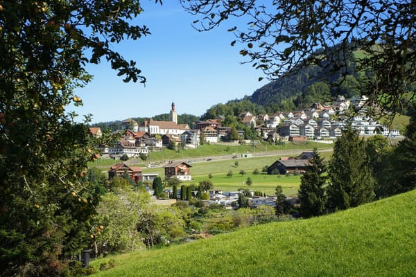 Immobilie in Sattel - Exklusive 5.5-Zimmer-Terrassenwohnung mit Bergblick in Sattel - Bild 11