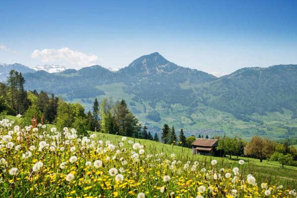 Immobilie in Sattel - Exklusive 5.5-Zimmer-Terrassenwohnung mit Bergblick in Sattel - Bild 15