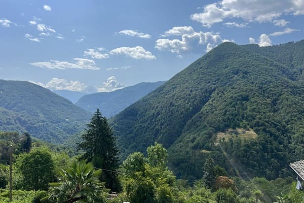 Immobilie in Comologno - "Architektur trifft Natur" - Modernes Wohnen im Valle Onsernone mit herrlicher Aussicht - Bestzustand / Erstwohnsitz - Bild 19