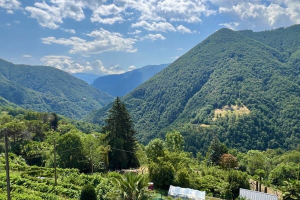 Immobilie in Comologno - "Architektur trifft Natur" - Modernes Wohnen im Valle Onsernone mit herrlicher Aussicht - Bestzustand / Erstwohnsitz - Bild 2
