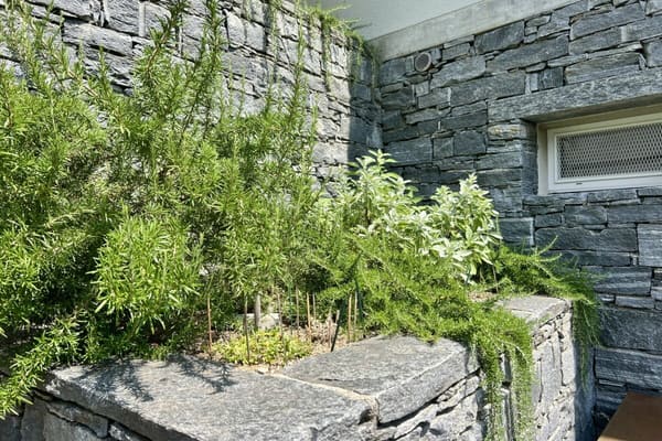 Immobilie in Comologno - "Architektur trifft Natur" - Modernes Wohnen im Valle Onsernone mit herrlicher Aussicht - Bestzustand / Erstwohnsitz - Bild 31