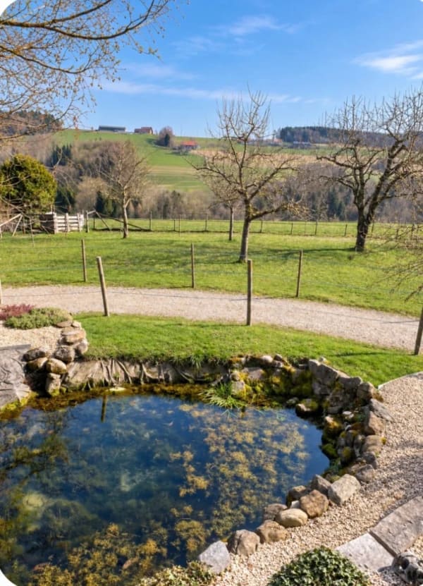 Immobilie in Brenles - Magnifique ferme rénovée avec installations équestres à Brenles - Bild 7