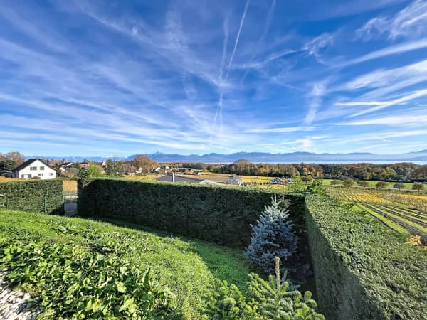 Immobilie in Allaman - Magnifique villa Ã  la vue imprenable sur le lac - Bild 2