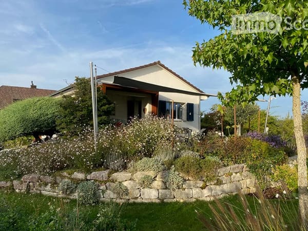 Immobilie in Walliswil B. Wangen - Einfamilienhaus mit Blick ins Grüne - Bild 3