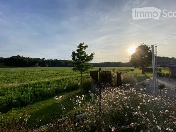 Immobilie in Walliswil B. Wangen - Einfamilienhaus mit Blick ins Grüne - Bild 8