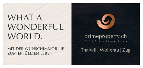 Immobilie in Walchwil - LEVITATING - Bild 7