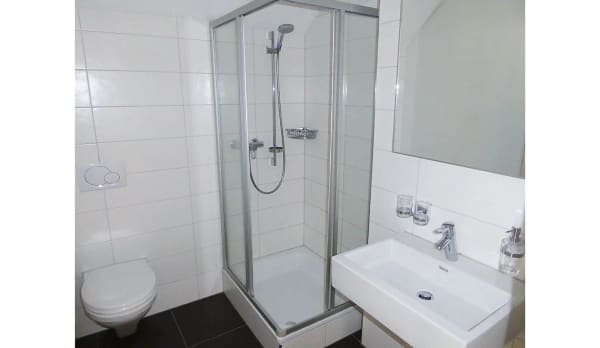 Immobilie in Stallikon - Stilvolle Maisonette-Dachwohnung â€“ viel Raum, viel Licht und hoher Wohnkomfort! - Bild 11