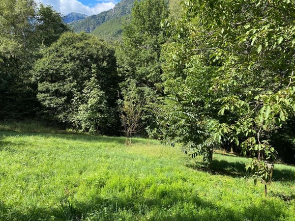 Immobilie in Golino - Rustico inmitten der Natur mit Land und schÃ¶ner Aussicht - Bild 15