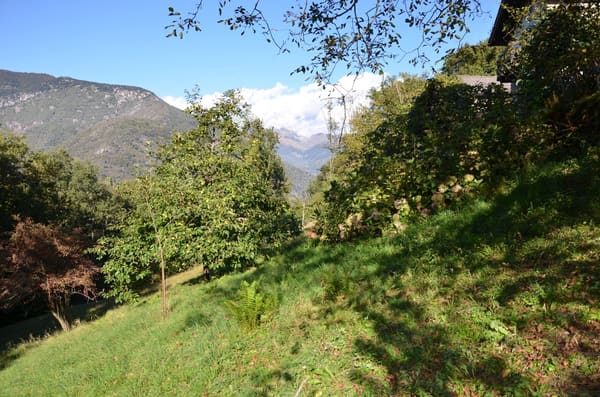 Immobilie in Golino - Rustico inmitten der Natur mit Land und schÃ¶ner Aussicht - Bild 16