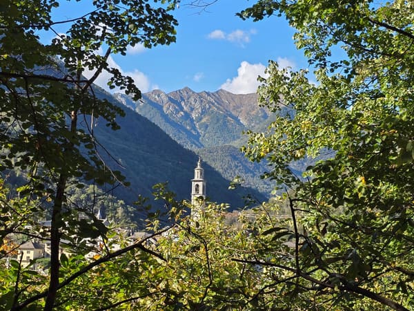 Immobilie in Golino - Rustico inmitten der Natur mit Land und schÃ¶ner Aussicht - Bild 18