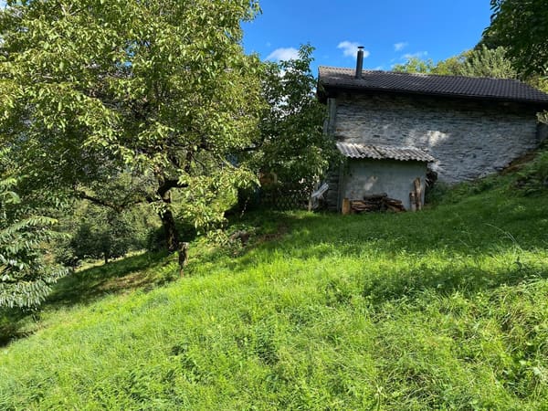 Immobilie in Golino - Rustico inmitten der Natur mit Land und schÃ¶ner Aussicht - Bild 24
