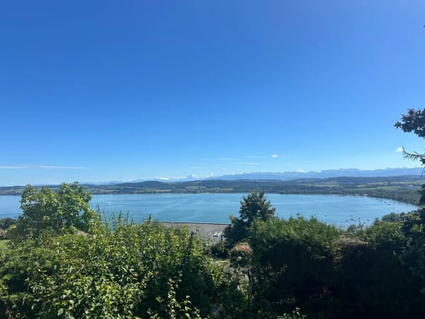 Immobilie in Bellerive Vd - Villa sur plan avec incroyable vue sur le Lac de Morat et les Alpes - Bild 10