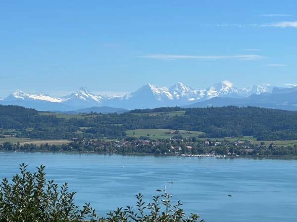 Immobilie in Bellerive Vd - Villa sur plan avec incroyable vue sur le Lac de Morat et les Alpes - Bild 5