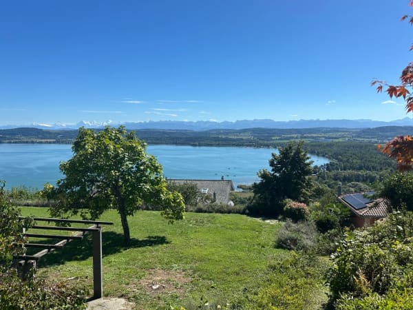 Immobilie in Bellerive Vd - Villa sur plan avec incroyable vue sur le Lac de Morat et les Alpes - Bild 6