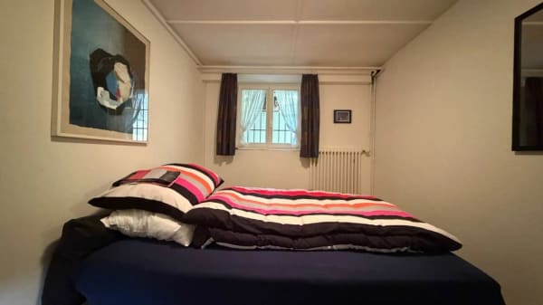 Immobilie in Birsfelden - 2 WOHNUNGEN + GARTEN + GÃ„STEZIMMER + GARAGE/PARKPLÃ„TZE + MIETEINNAHMEN - SELTENE CHANCE - Bild 17