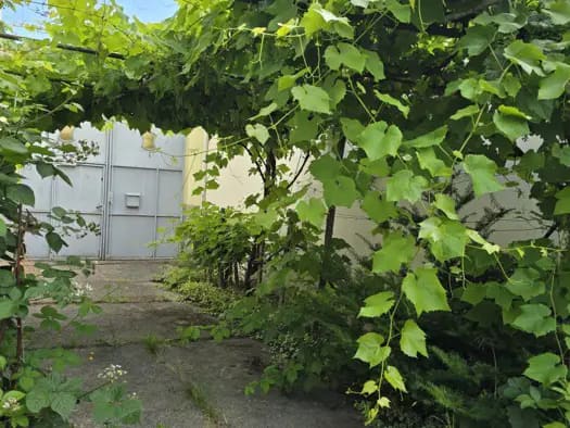 Immobilie in Mörbisch am See - Haus zum Kauf - Mörbisch am See - 199.000 € - 5 Zimmer, 94 m², 312 m² Grundstück - Bild 1