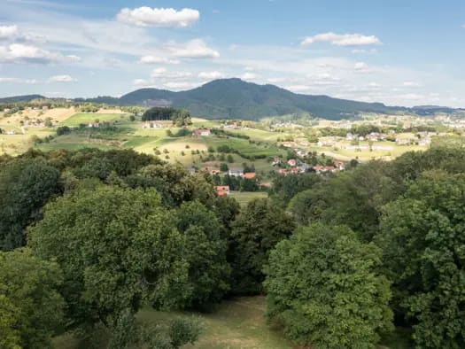 Immobilie in Trautmannsdorf - Einfamilienhaus zum Kauf - Trautmannsdorf - 690.000 € - 4 Zimmer, 132 m², 39.407 m² Grundstück - Bild 2