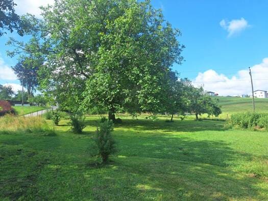 Immobilie in Raab - Mehrfamilienhaus zum Kauf - Raab - 530.000 € - 200 m², 3.700 m² Grundstück - Bild 1