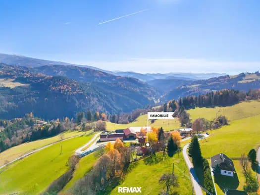 Immobilie in Hüttenberg - Einfamilienhaus zum Kauf - Hüttenberg - 1.100.000 € - 12 Zimmer, 322 m², 2.851 m² Grundstück - Bild 1