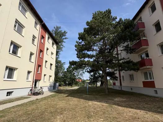 Immobilie in Teesdorf - Wohnung zum Kauf - Teesdorf - 169.000 € - 3 Zimmer, 57,5 m², 2. Geschoss - Bild 1