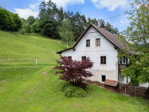 Immobilie in St. Radegund - Bauernhaus zum Kauf - St. Radegund - 99.000 € - 5 Zimmer, 70 m², 889 m² Grundstück - Bild 1