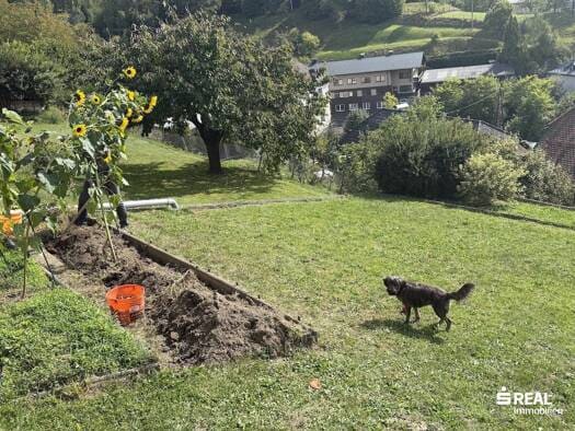 Immobilie in Helfenberg - Haus zum Kauf - Helfenberg - 180.000 € - 170 m², 1.265 m² Grundstück - Bild 2