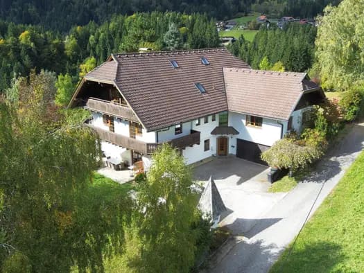 Immobilie in Arriach - Einfamilienhaus zum Kauf - Arriach - 895.000 € - 390 m², 2.870 m² Grundstück - Bild 0