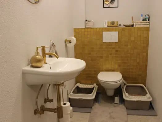 Immobilie in Fohnsdorf - Wohnung zum Kauf - Fohnsdorf - 134.000 € - 3 Zimmer, 82 m², 1. Geschoss - Bild 2