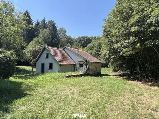 Immobilie in Mariasdorf - Einfamilienhaus zum Kauf - Mariasdorf - 110.000 € - 3,5 Zimmer, 82 m², 8.006 m² Grundstück - Bild 0