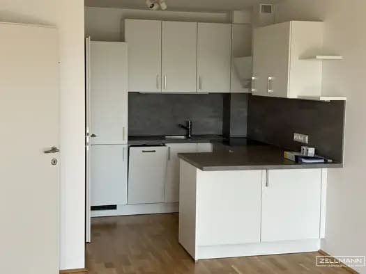 Immobilie in Simmering - Wohnung zum Kauf - Simmering - 280.000 € - 2 Zimmer, 55 m², 2. Geschoss - Bild 1