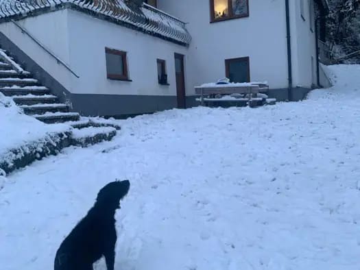 Immobilie in Lendorf - Haus zum Kauf - Lendorf - 129.900 € - 45 m², 5.234 m² Grundstück - Bild 2