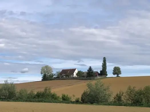 Immobilie in Sankt Nikolai im Sausal - Haus zum Kauf - Sankt Nikolai im Sausal - 580.000 € - 2,5 Zimmer, 175 m², 2.466 m² Grundstück, frei ab sofort - Bild 2