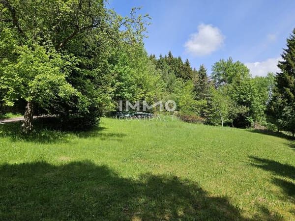 Immobilie in Moorbad Harbach - Haus zum Kauf - Moorbad Harbach - 159.000 € - 5 Zimmer, 160 m², 3.928 m² Grundstück - Bild 2