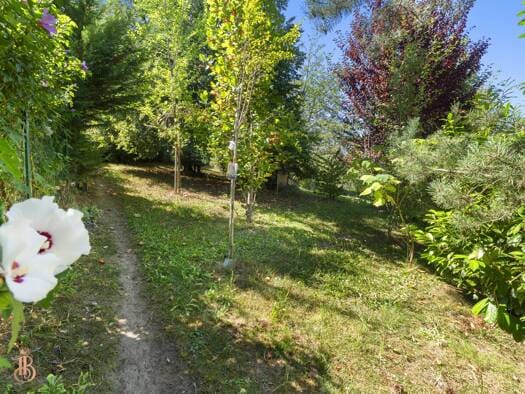Immobilie in Velden am Wörther See - Einfamilienhaus zum Kauf - Velden am Wörther See - 665.000 € - 6 Zimmer, 201 m², 1.343 m² Grundstück - Bild 2