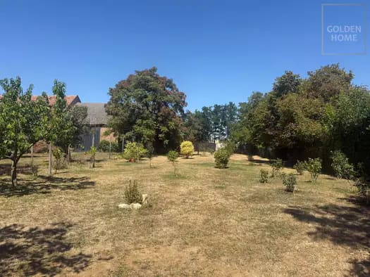 Immobilie in Großkrut - Bungalow zum Kauf - Großkrut - 359.000 € - 2 Zimmer, 85 m², 1.590 m² Grundstück - Bild 2