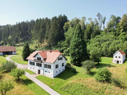 Immobilie in Sankt Ruprecht an der Raab - Einfamilienhaus zum Kauf - Sankt Ruprecht an der Raab - 1.500.000 € - 6 Zimmer, 219 m², 80.522 m² Grundstück - Bild 0